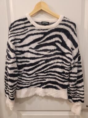 Express Zebra Sweater